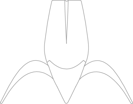 MilkJug