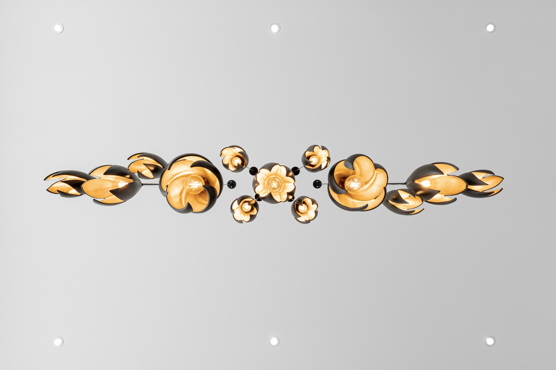 STW5559withspots Slider